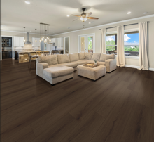 Firmfit USA - Intown Plus